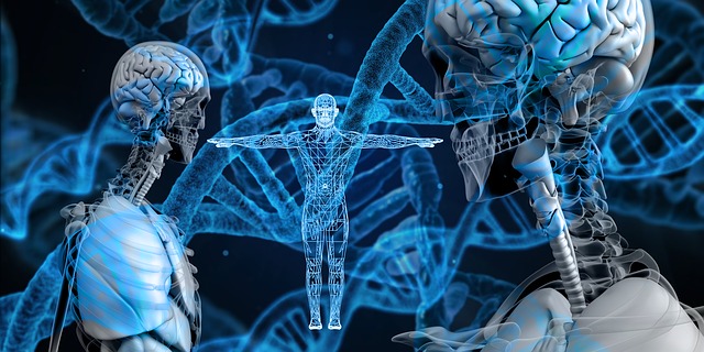 El destino en nuestros genes | DW Documental