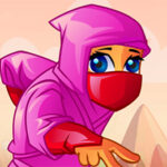 Ninja Vital Treasures