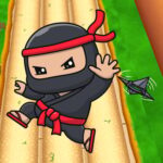 Nano Ninjas