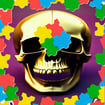 Skull Picture Scramble Challenge