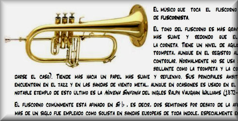 Instrumentos de la banda sinfónica